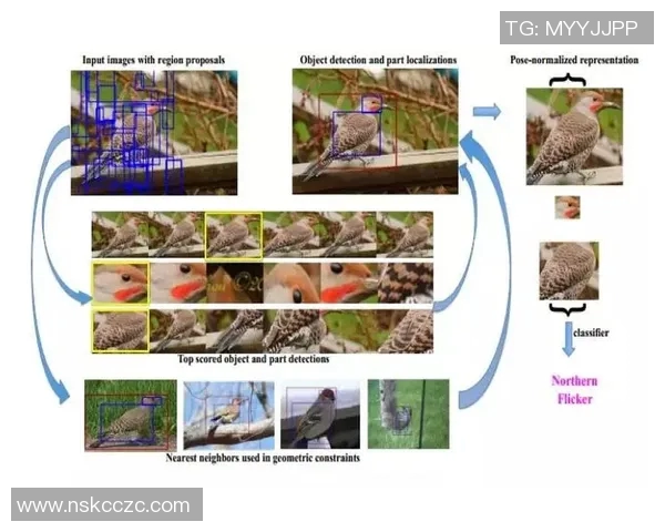 基于深度学习的足球球星签名自动识别与分析方法研究